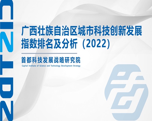 日比抽插啪啪啪啪啪动态视频【成果发布】广西壮族自治区城市科技创新发展指数排名及分析（2022）